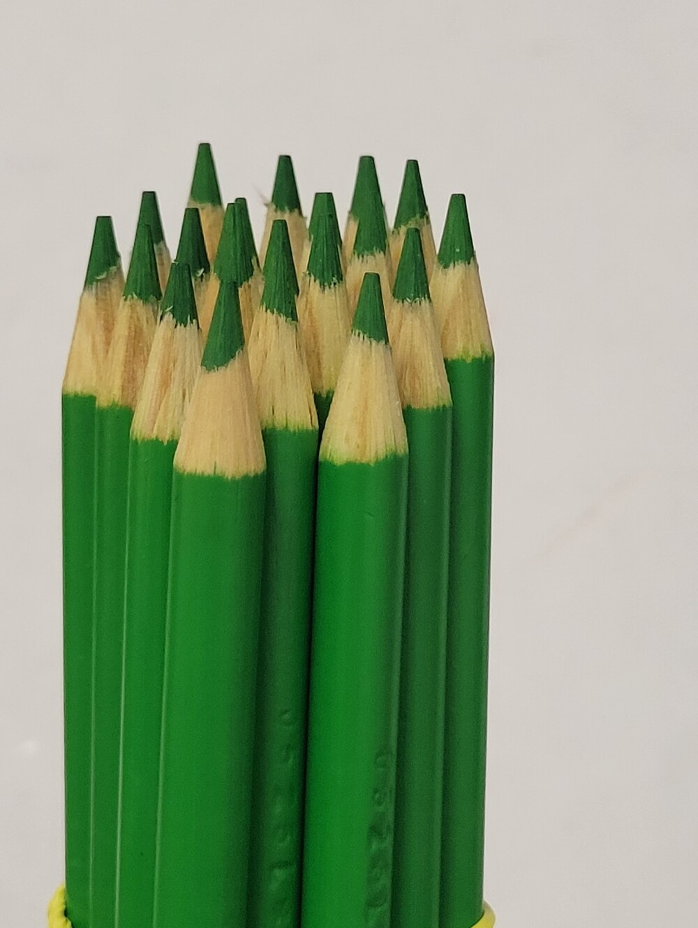 20ct Crayola Colored Pencils (Yellow Green) Single Color Bulk Lot